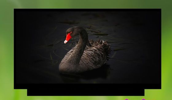 N133HCE-G63 Innolux 13,3&quot; 1920(RGB)×1080 300 cd/m² ENDÜSTRİYEL LCD EKRAN