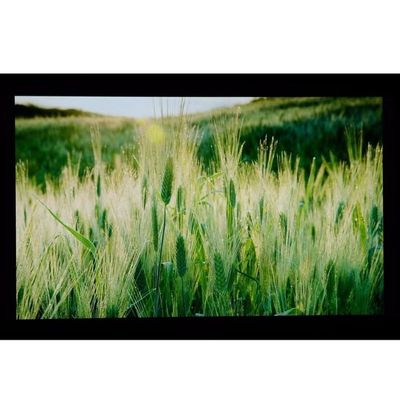 10.1" LCM 1024×600RGB   350cd/m² LQ101W3LG01 Sharp TFT LCD Ekran