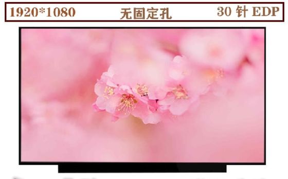 N133HCE-EN1 Innolux 13,3&quot; 1920(RGB)×1080 330 cd/m² ENDÜSTRİYEL LCD EKRAN