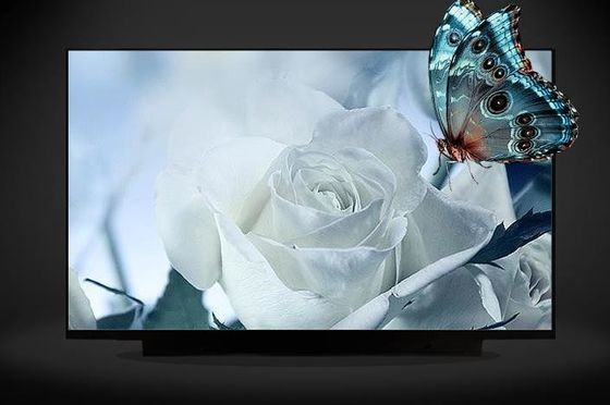N161HCA-EA3 Innolux 16,1&quot; 1920(RGB)×1080 300 cd/m² ENDÜSTRİYEL LCD EKRAN
