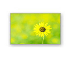 4.0" 320×240 4700cd/M2 Endüstriyel Lcd Ekran HSD040I3N1-B00 HannStar